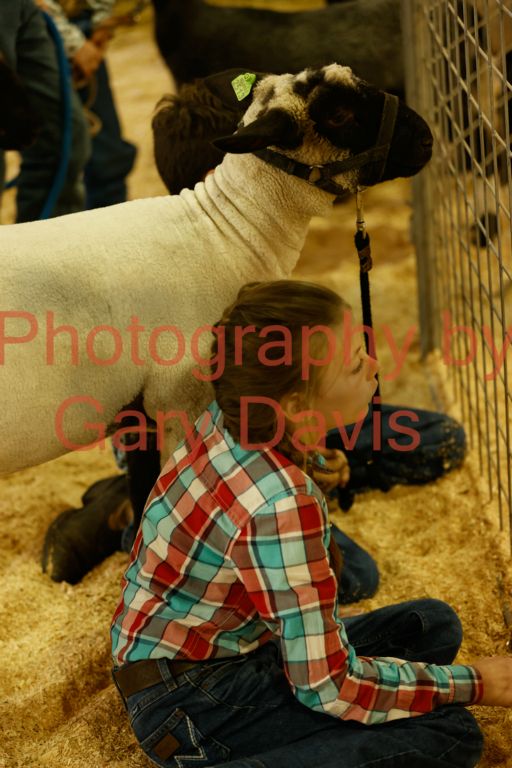 _MG_0078 (2)